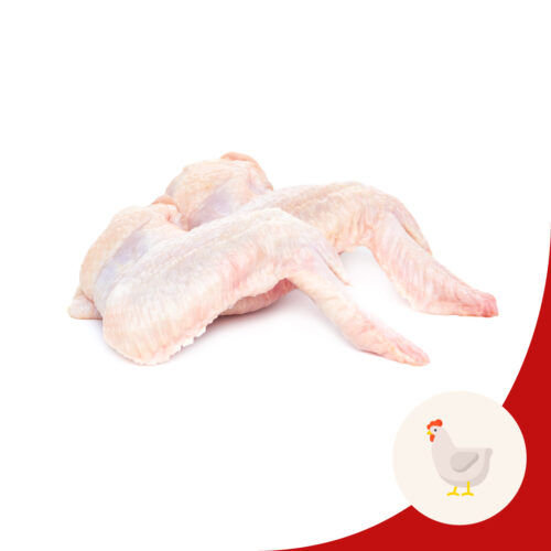 chicken wing